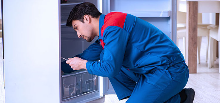 Freezer Repair Services in North Perth